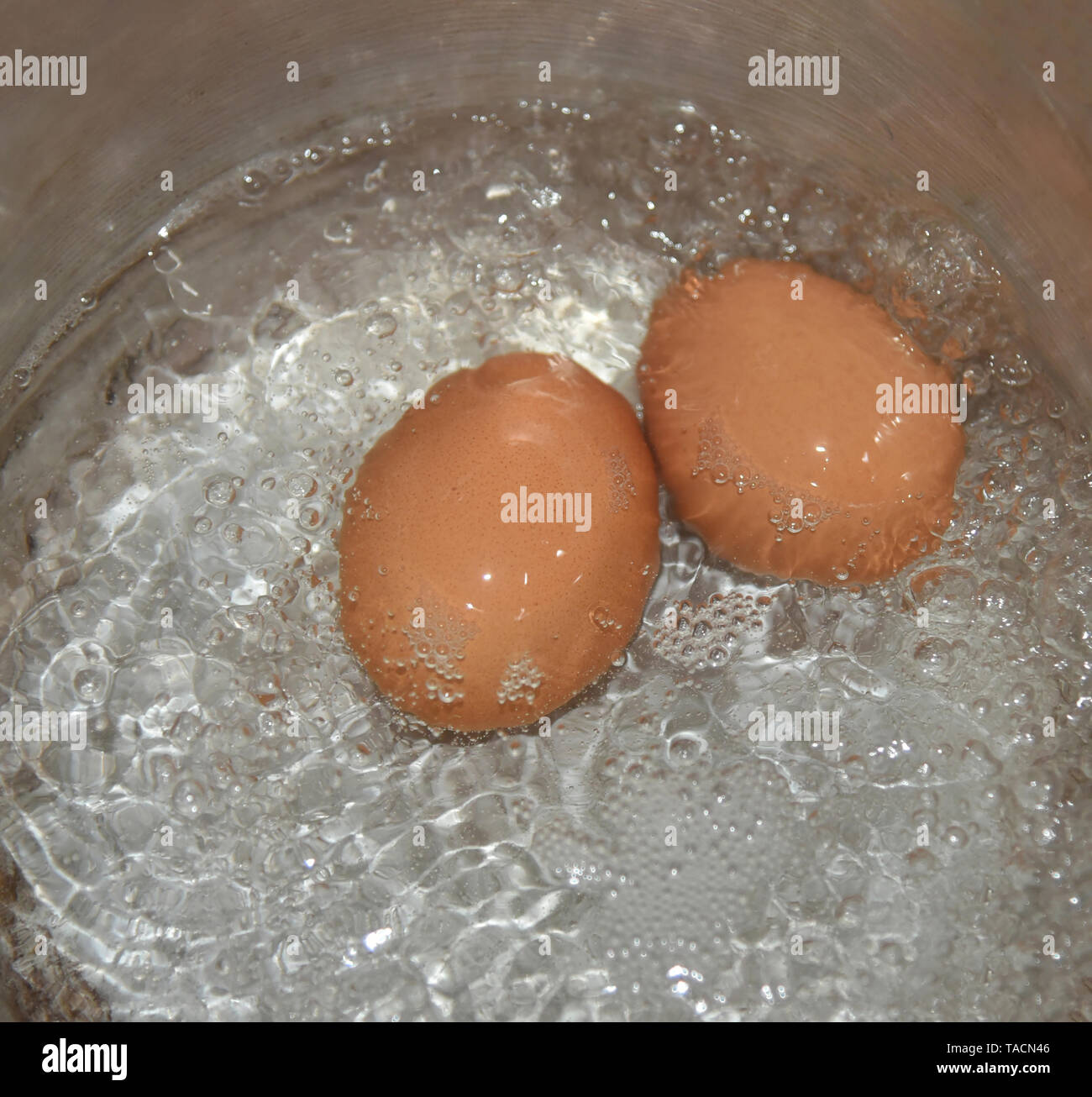 Boiled water eggs / To boil an egg in hot pot Stock Photo Alamy