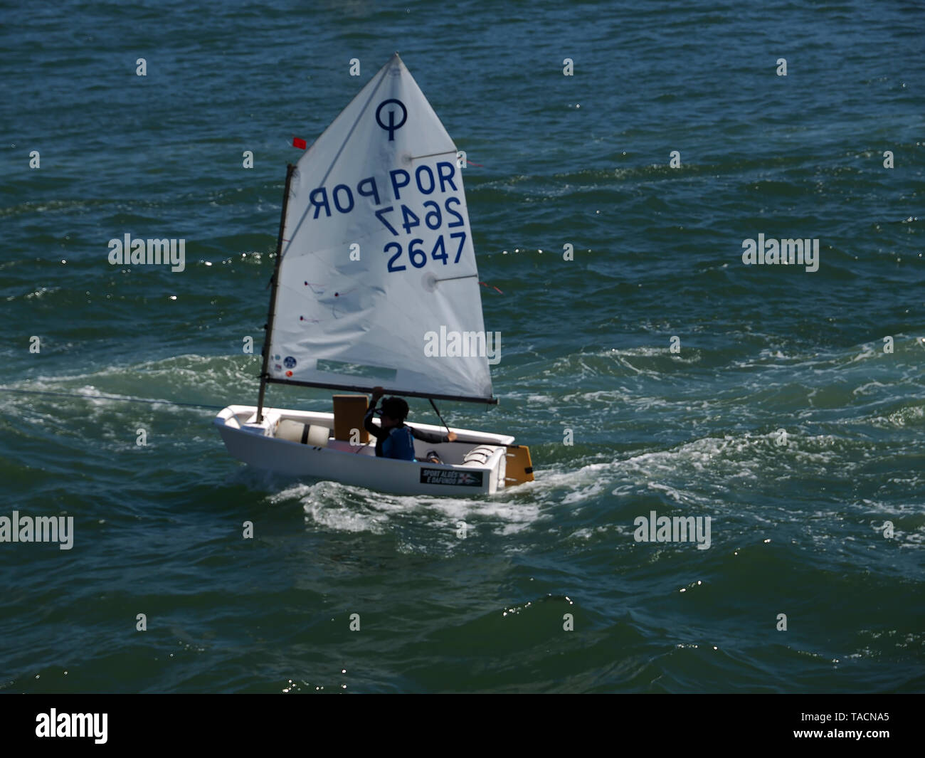 Sail boats of a sailing school on Tejo river in Lisbon Stock Photo Alamy