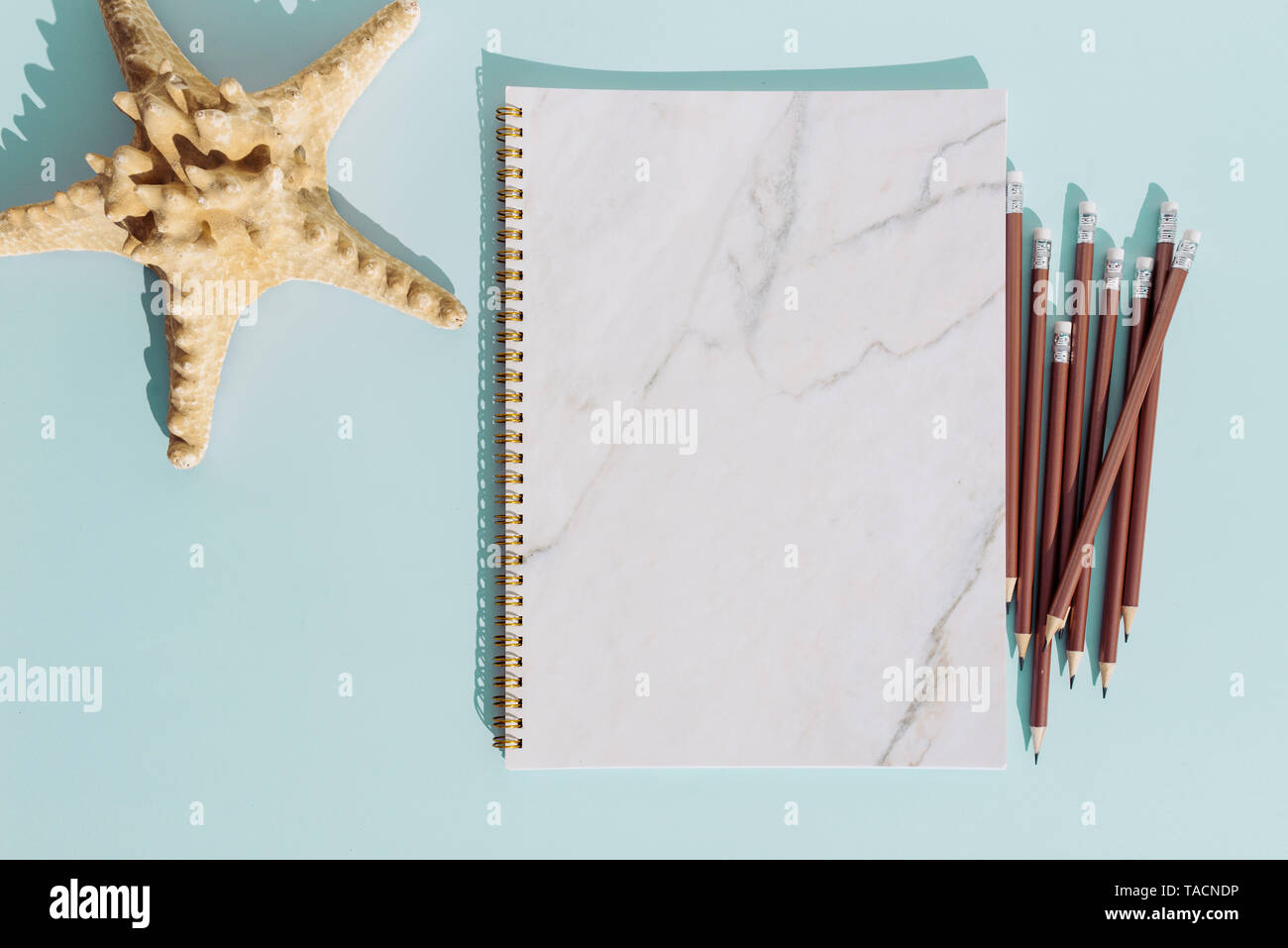 Flat lay notebook and pencil with and starfish for summer holiday on turquoise background,Top view from above Stock Photo