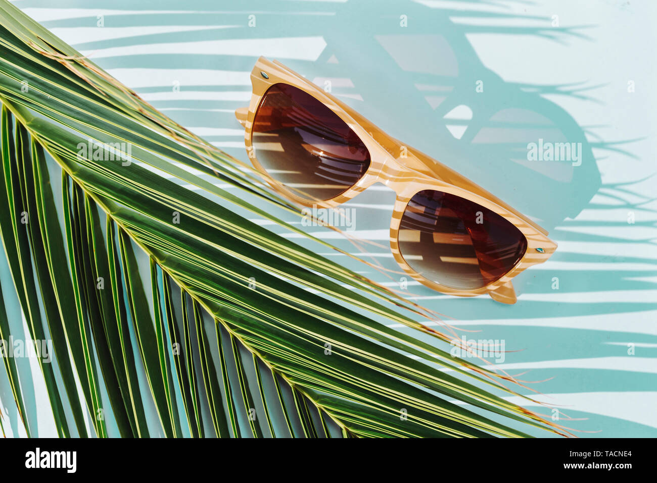 Top view beige sunglasses on palm leaf and turquoise background, nobody. travel concept object Stock Photo