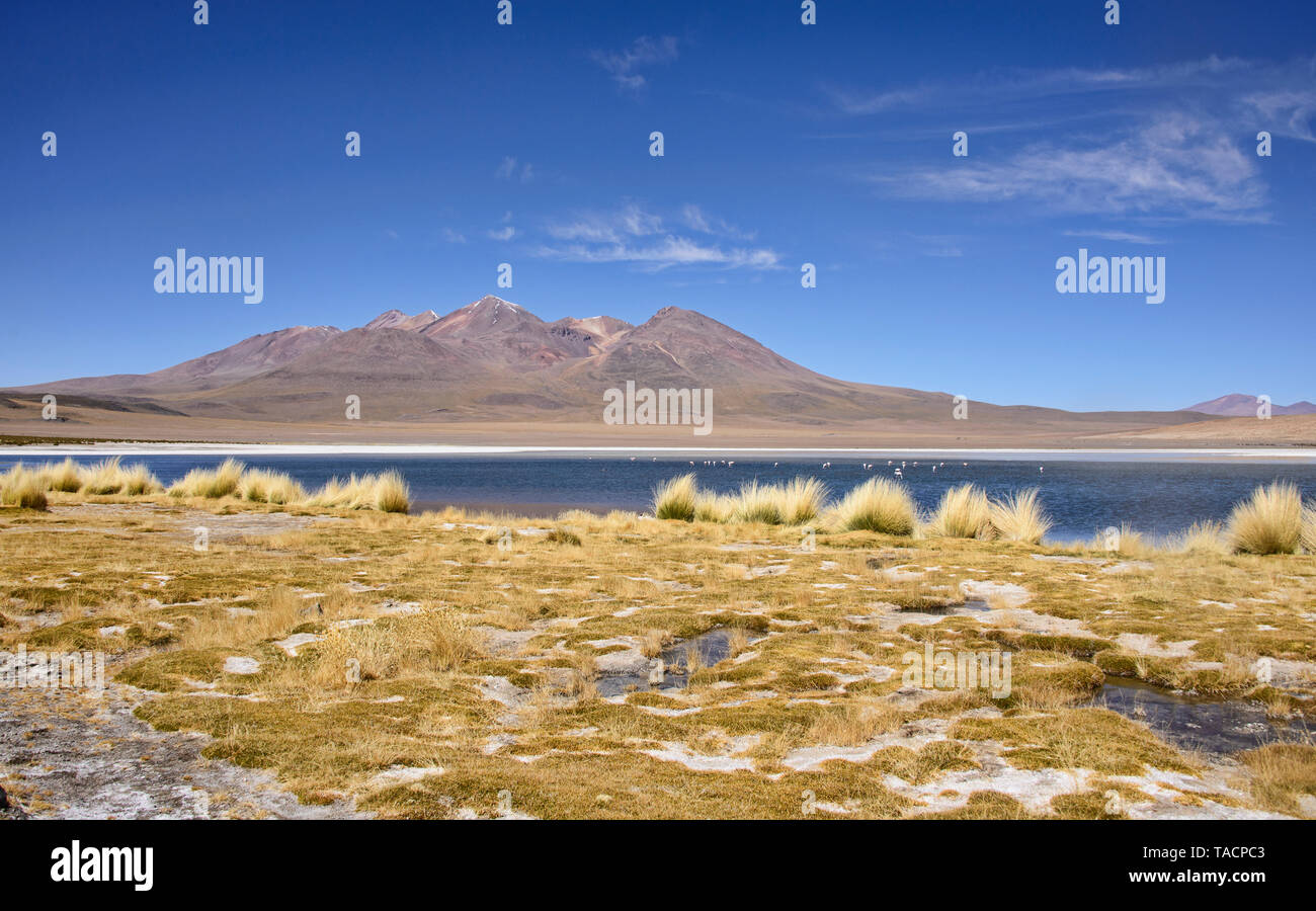 Beautiful sceneries in Salar de Uyuni, Bolivia Stock Photo