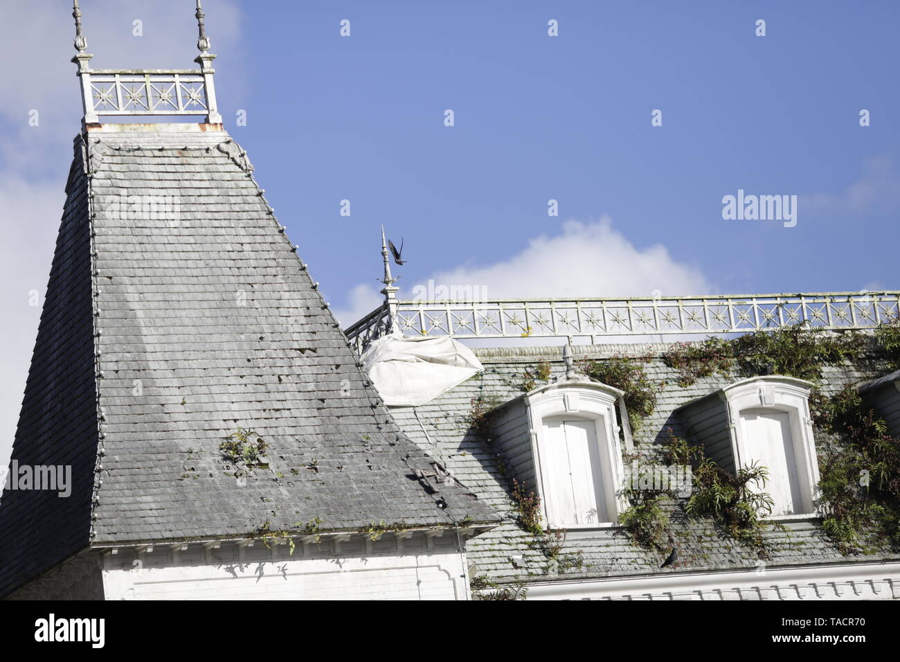 Curepipe also known as La Ville-Lumière, is a town in Mauritius, located in the Plaines Wilhems District, the eastern part Stock Photo