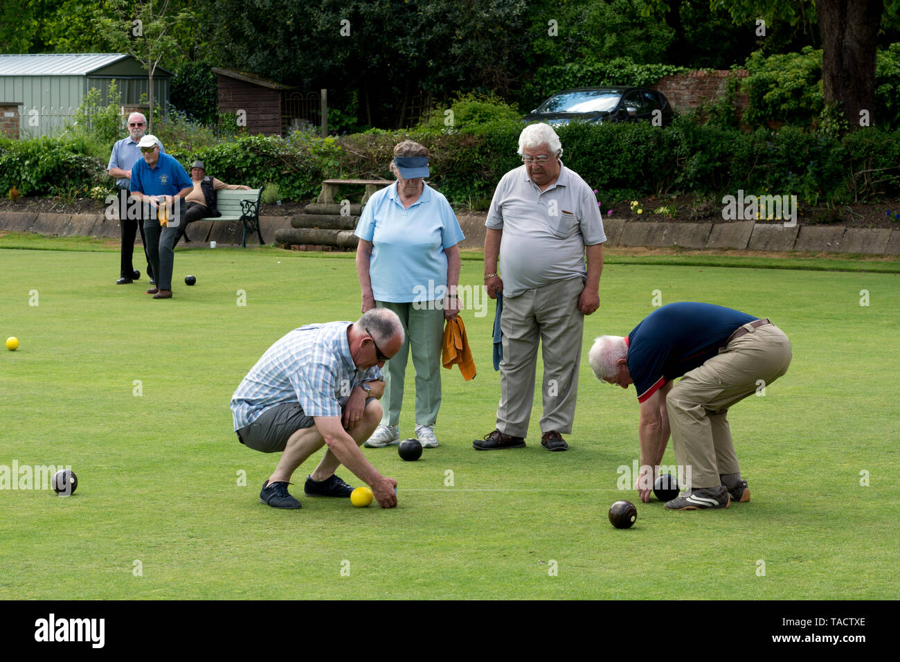 Measuring the distance from the jack in Crown Green bowls, Warwickshire, England, UK Stock Photo