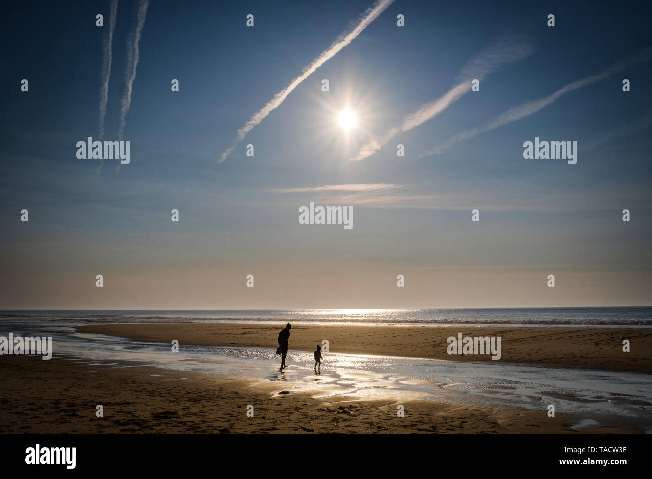 People walking on a beach in the evening, at the setting sun. Man and