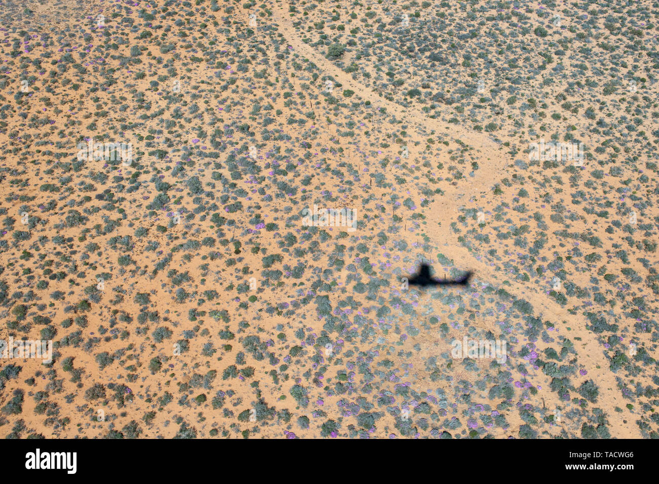 Aerial view of part of the southern section of the Namaqua National park in the Northern Cape Province of South Africa. Stock Photo