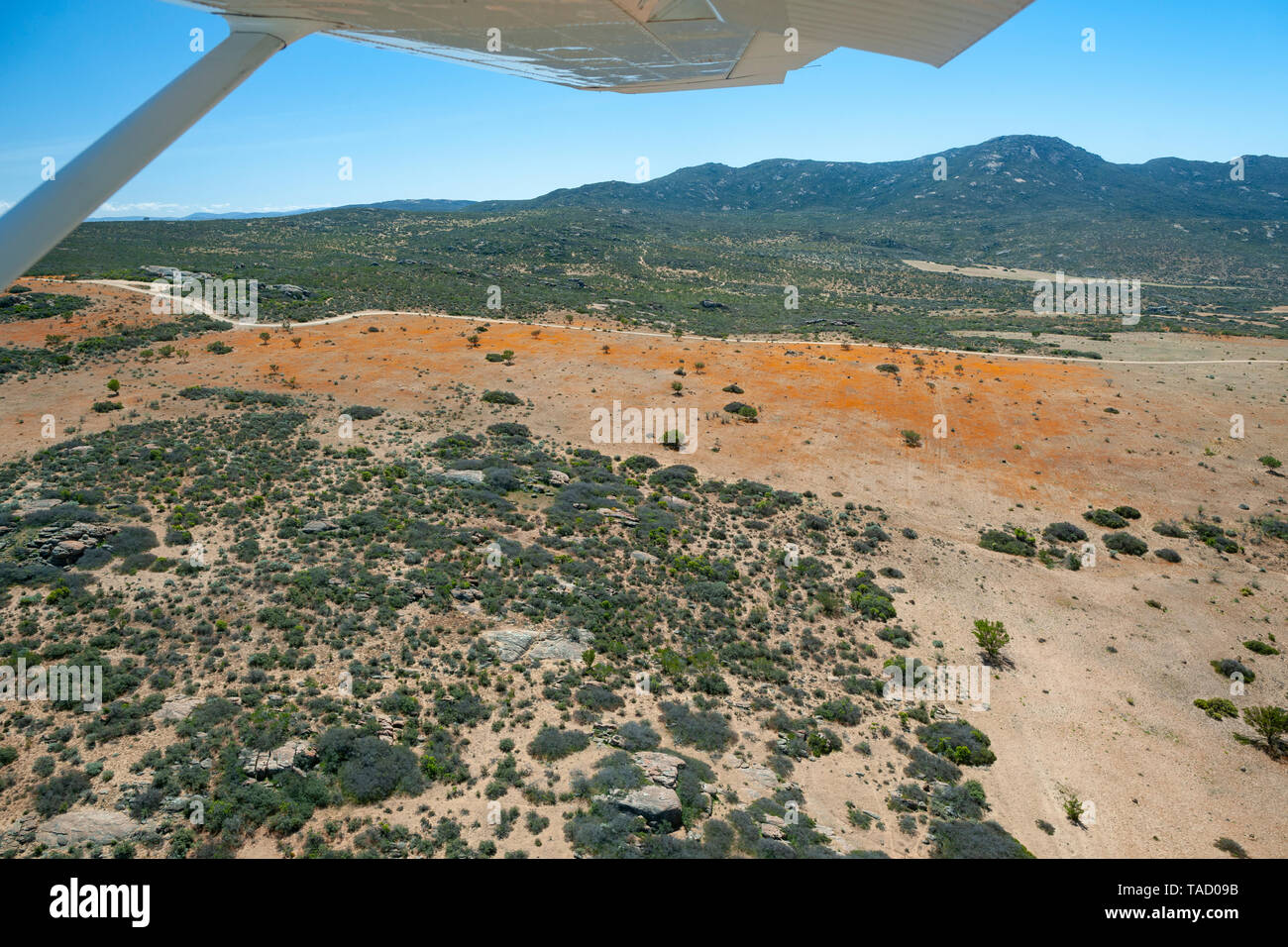 Aerial view of the wild flowers in the Skilpad section of the Namaqua National park in the Northern Cape Province of South Africa. Stock Photo