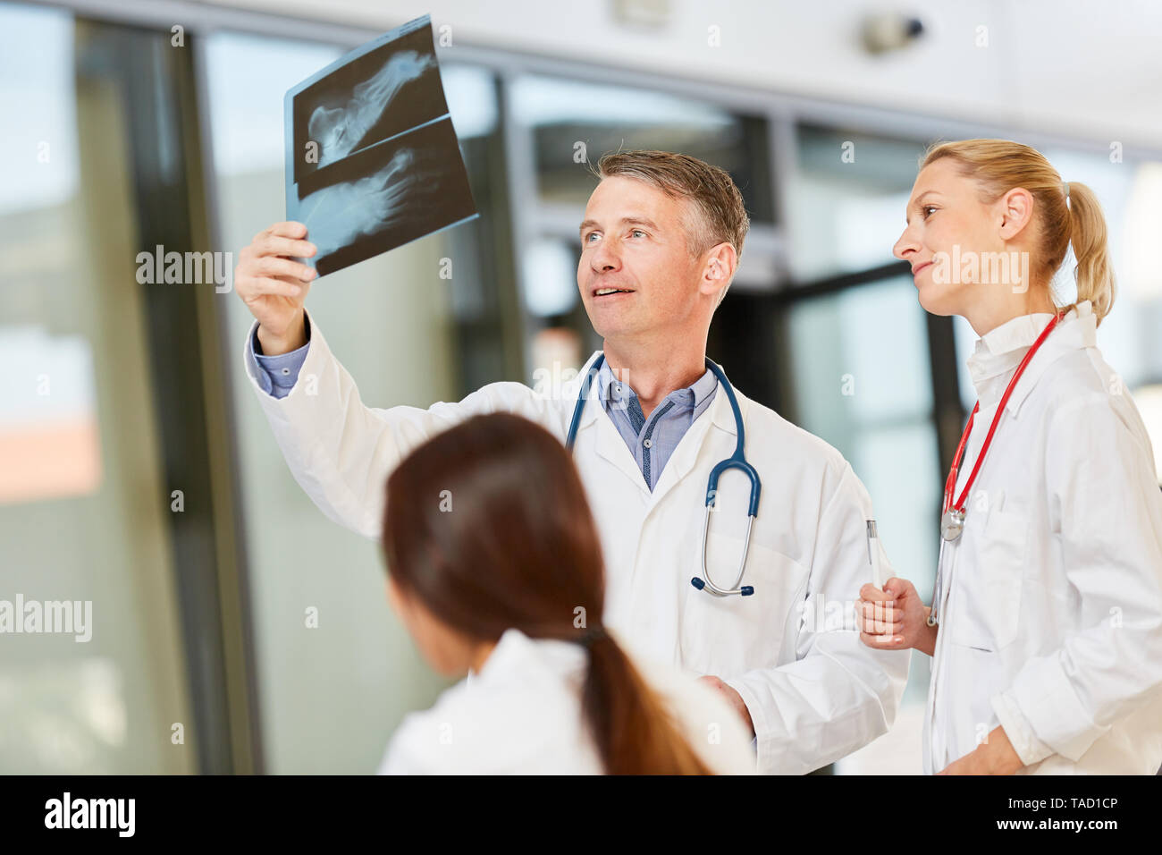 Senior physician and radiology team discuss an x-ray image in a workshop Stock Photo