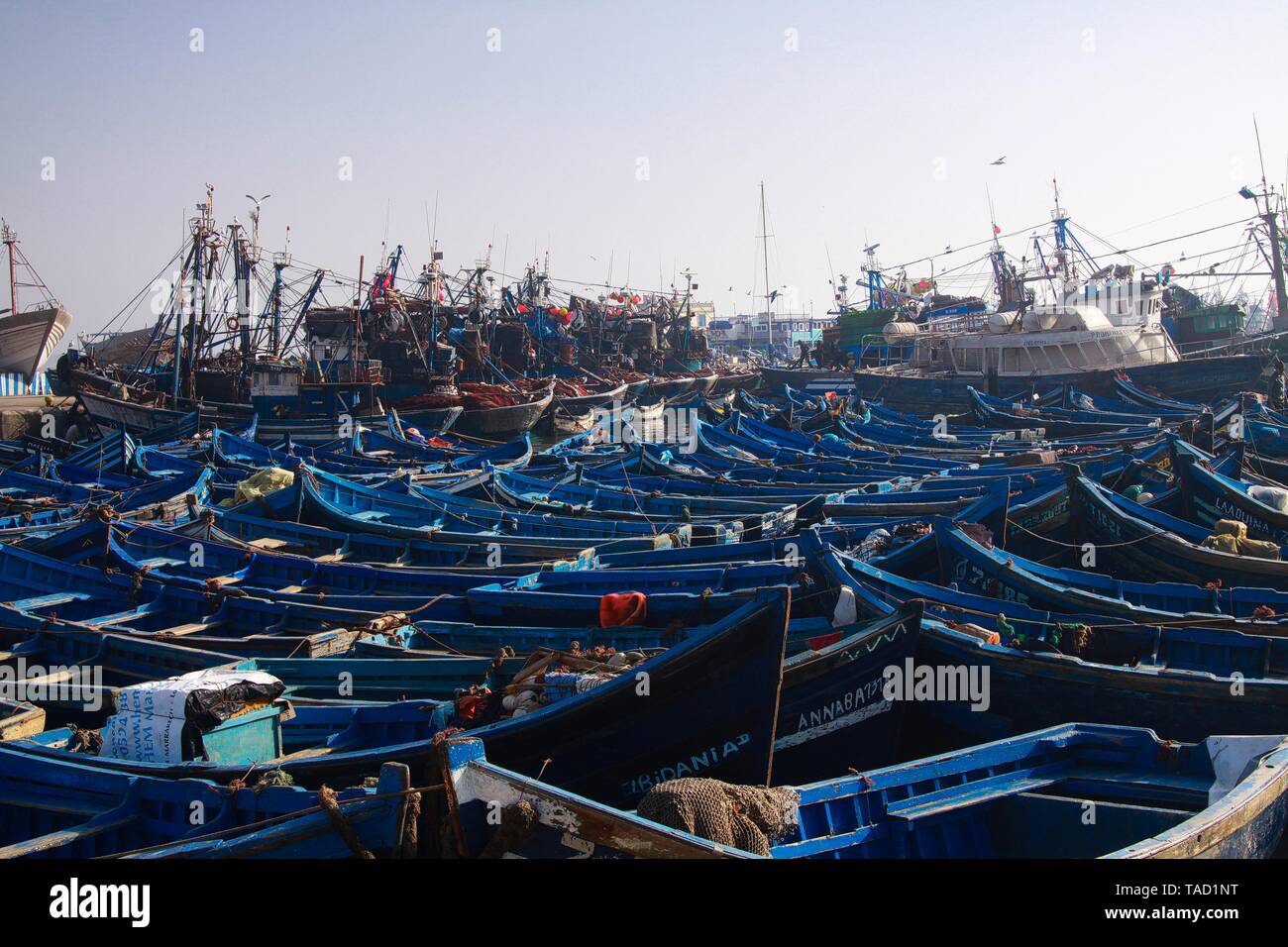 ESSAOUIRA, MOROCCO - SEPTEMBER 29. 2011: Countless blue fishing boats squeezed together in an utterly cramped harbor Stock Photo