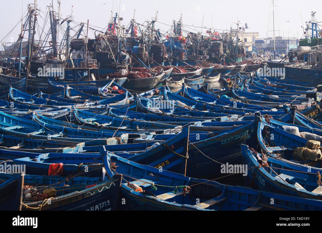 ESSAOUIRA, MOROCCO - SEPTEMBER 29. 2011: Countless blue fishing boats squeezed together in an utterly cramped harbor Stock Photo