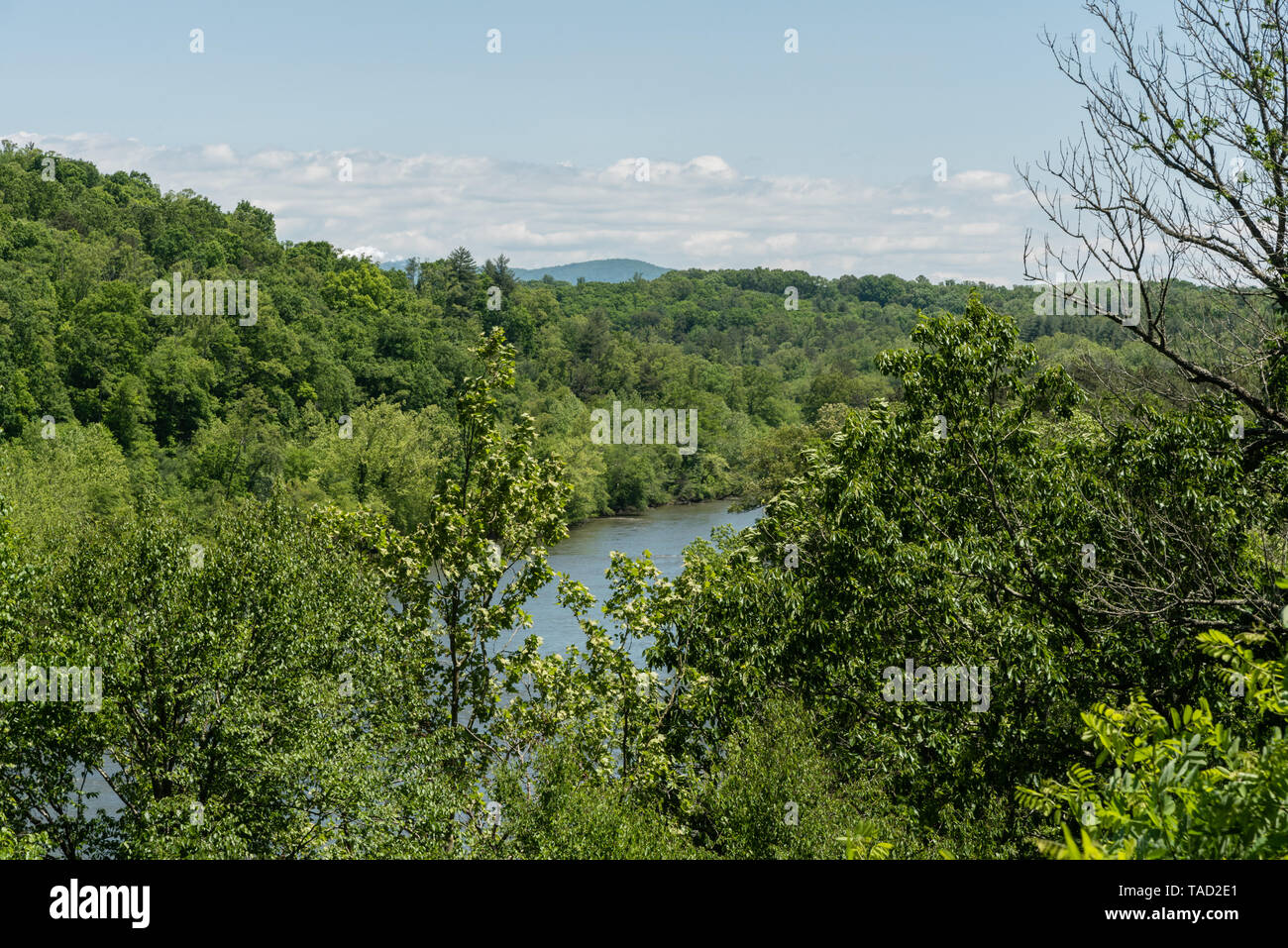 French Broad River viewed from the Blue Ridge Parkway in springtime, Asheville, North Carolina