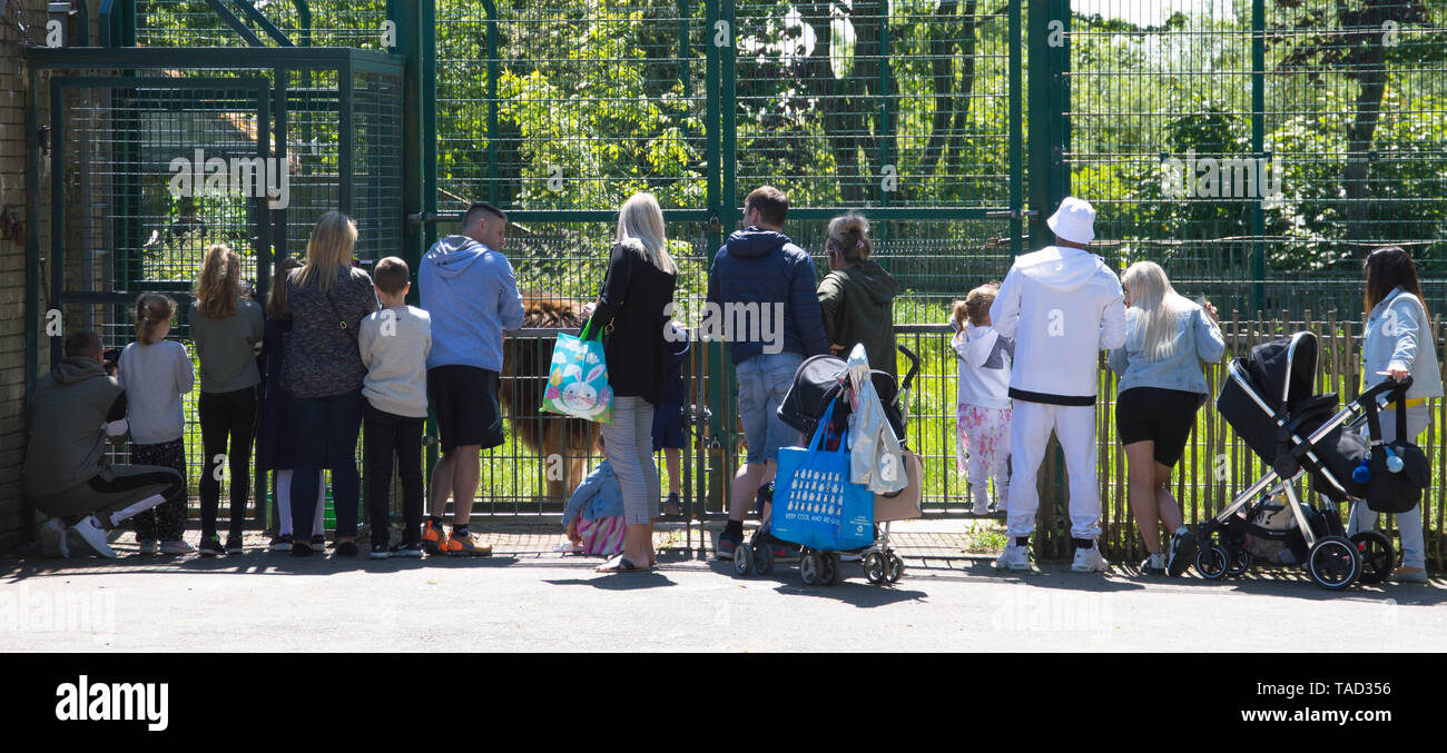 People on visit to Blackpool Zoo on a warm and sunny day Stock Photo