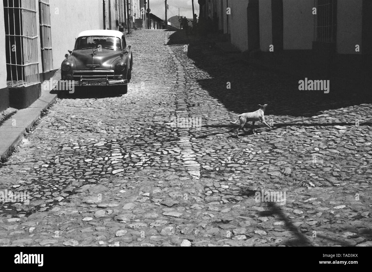 A dog runs across a road in Trinidad, Cuba Stock Photo