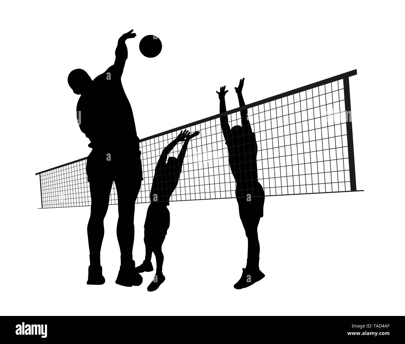 Men volleyball player silhouette vector hi-res stock photography and ...