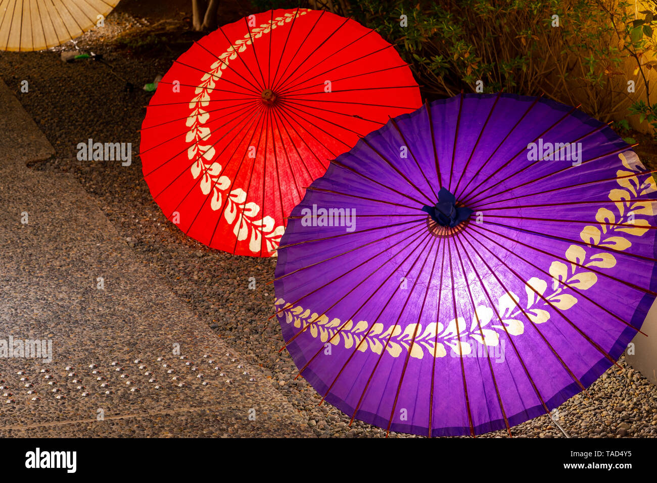 Japanese umbrella in Kyoto, Japan. Image of Japanese culture. Stock Photo