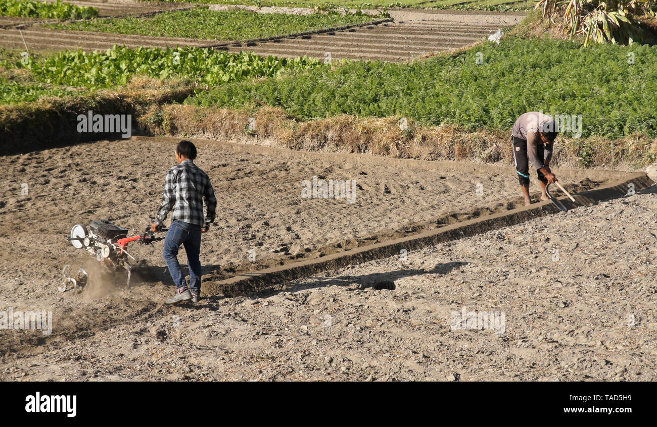 Farmers tilling soil with gas-powered rototiller and forming raised barrier between paddies, Mulpani, Kathmandu Valley, Nepal Stock Photo