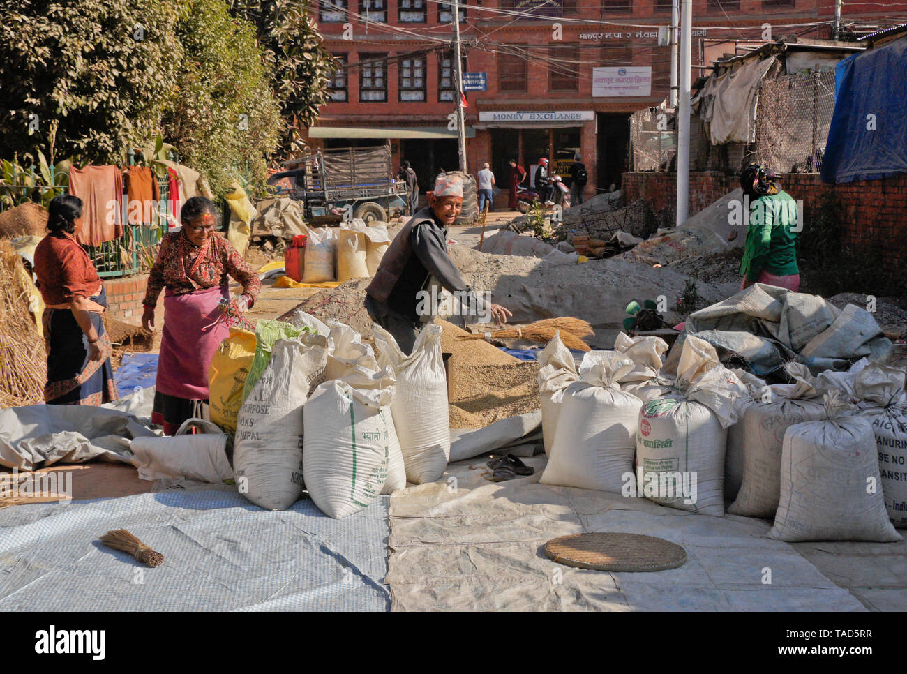 Farmers bagging sun-dried rice, Bhaktapur, Kathmandu Valley, Nepal Stock Photo