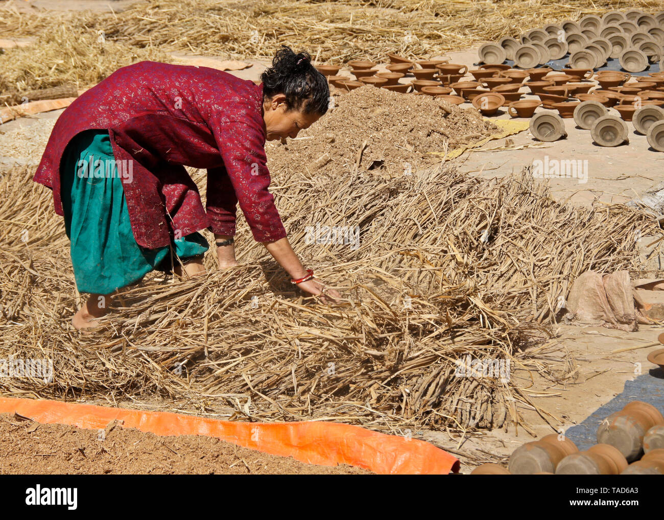 Woman gathering harvested crop sun-drying in Kumale Tol (Potters' Square, Pottery Square), Bhaktapur, Kathmandu Valley, Nepal Stock Photo