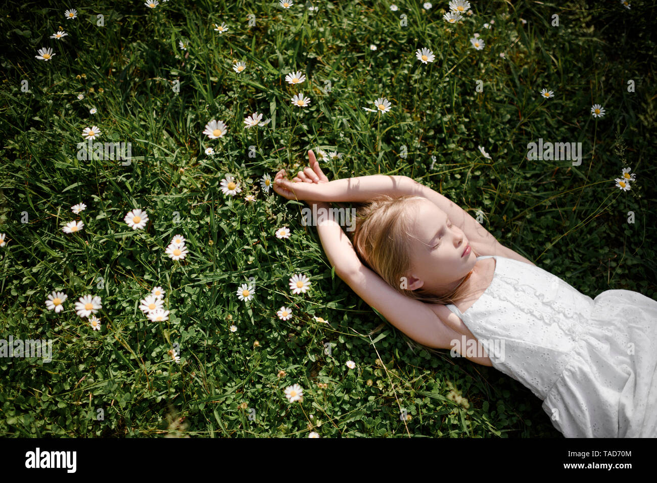 Little girl lying in flower field Stock Photo