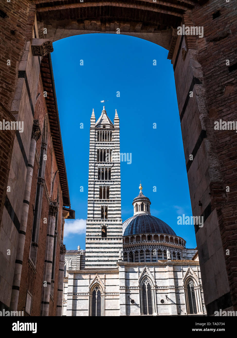 Italy, Tuscany, Siena, Siena Cathedral, View through Facciatone Stock Photo