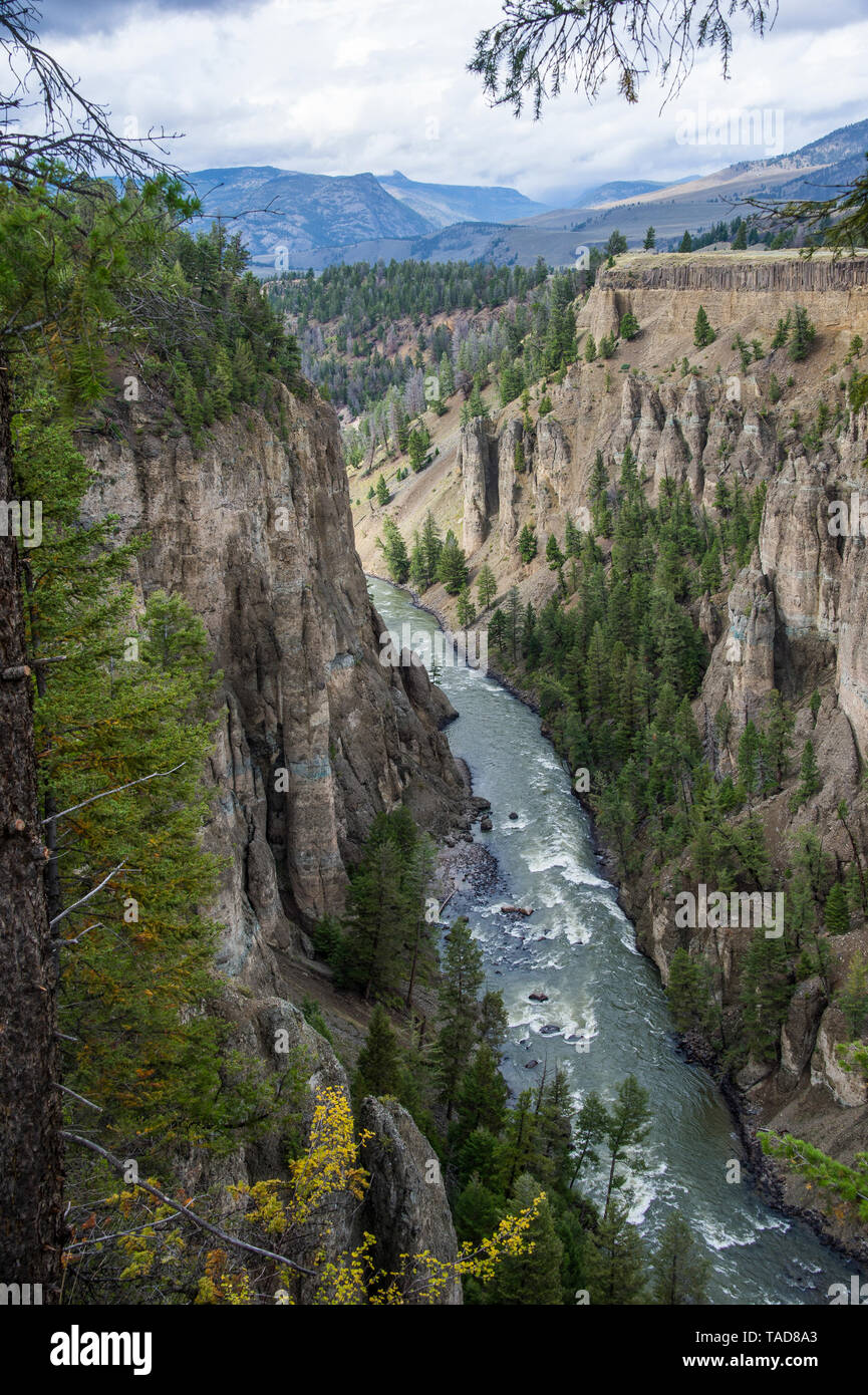 USA, Wyoming, Yellowstone National Park,  Yellowstone river flowing through a sandstone gorge Stock Photo