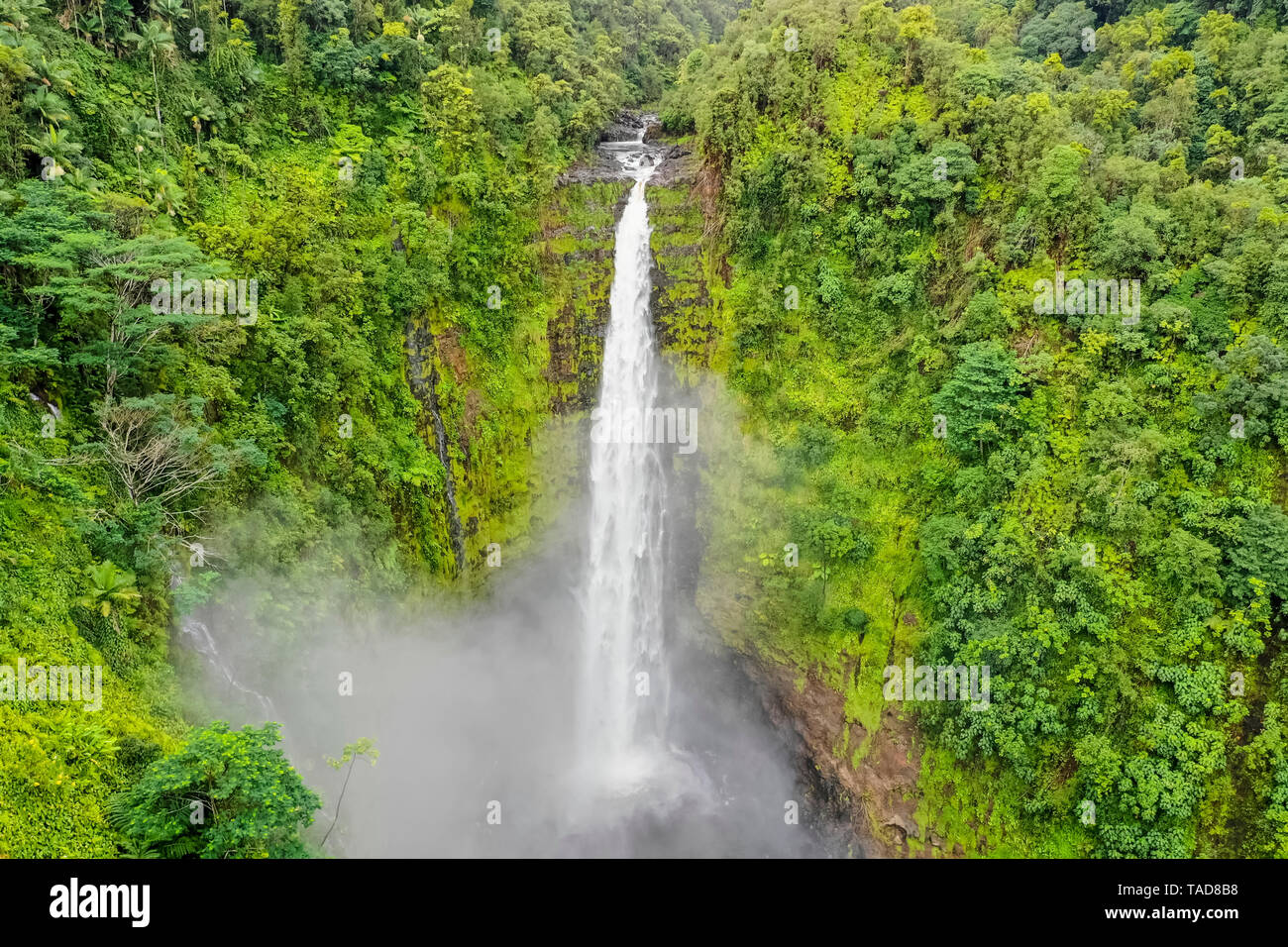 USA, Hawaii, Big Island, Akaka Falls State Park, Akaka Falls and Kolekole Stream Stock Photo