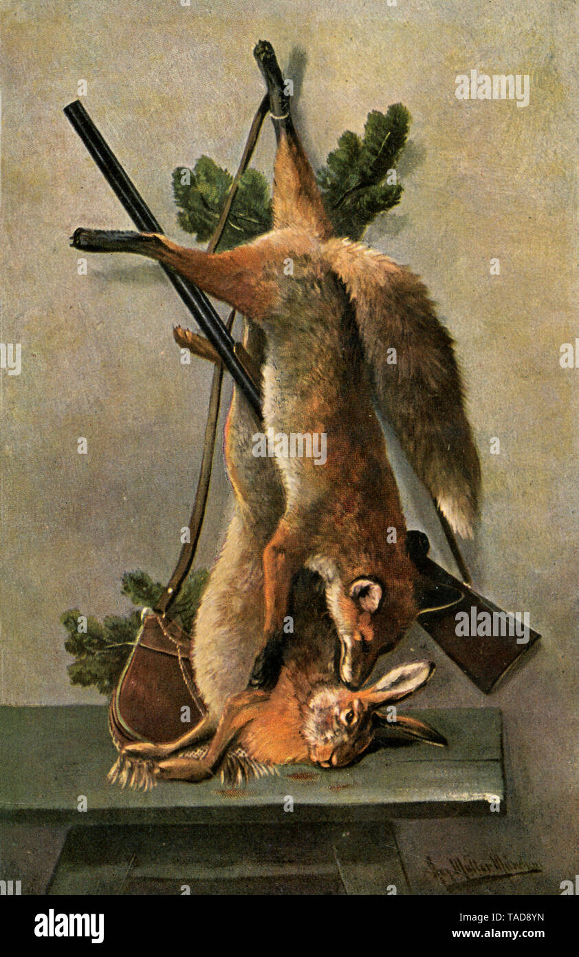Hare and fox as hunting trophies ,  (postcard, ) Stock Photo