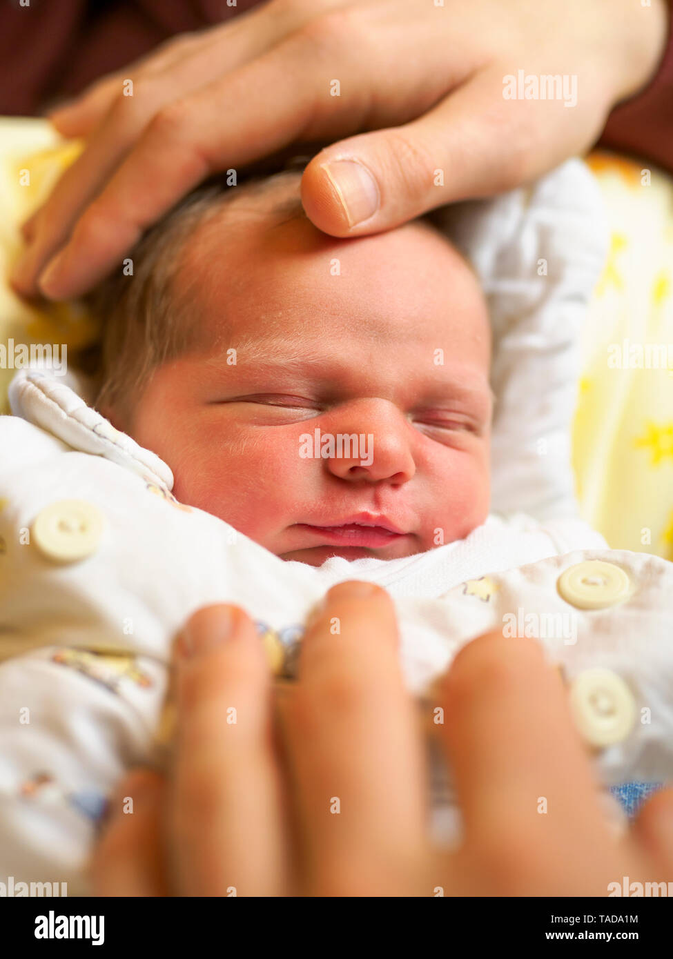 Portrait of newborn girl, hands of father Stock Photo Alamy