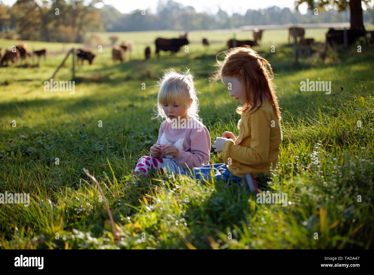 Two sisters sitting in rural field Stock Photo