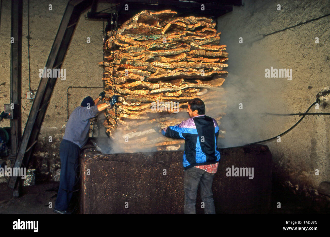 Calangianus, Sardinia, Italy. Cork processing (scanned from Fujichrome Velvia) Stock Photo