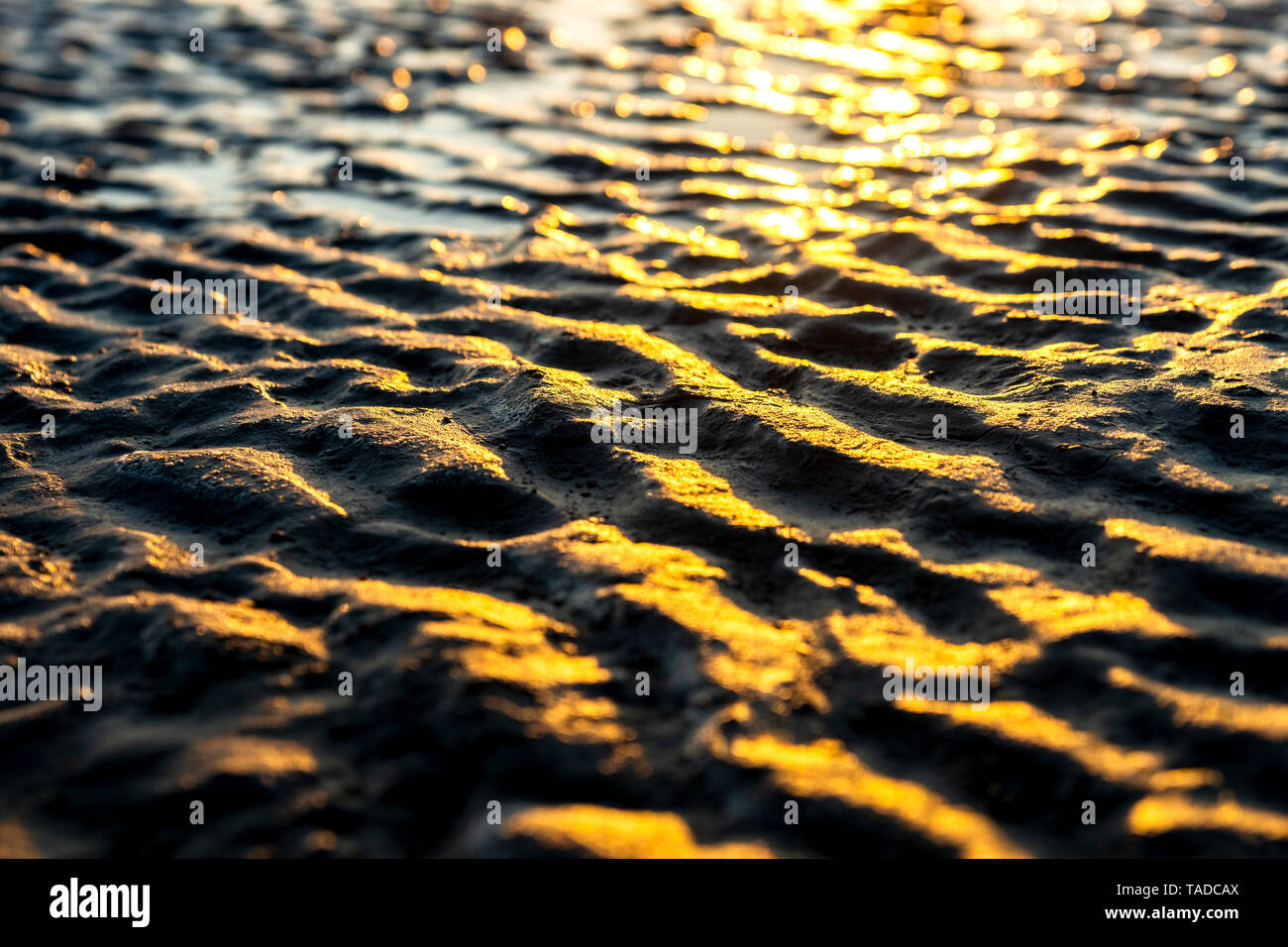 Germany, North Sea, Cuxhaven, mudflat, beach Stock Photo