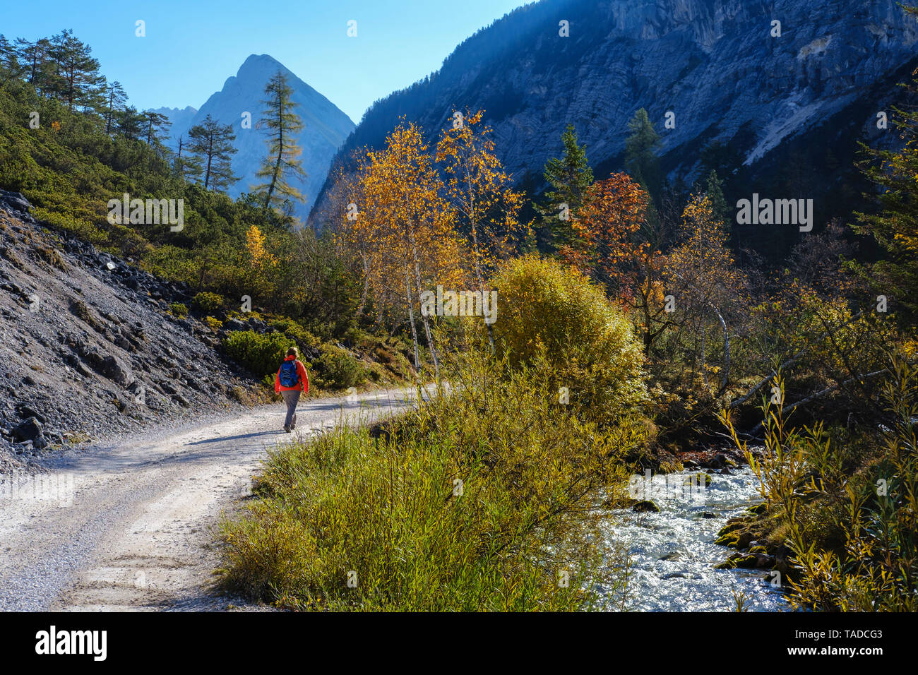 Austria, Tyrol, Karwendel mountains, Hinterautal, woman hiking along River Isar Stock Photo