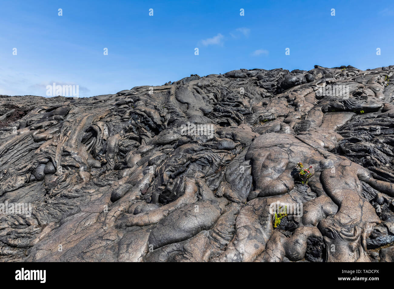 USA, Hawaii, Volcanoes National Park, lava fields along the Chain of Craters Road Stock Photo