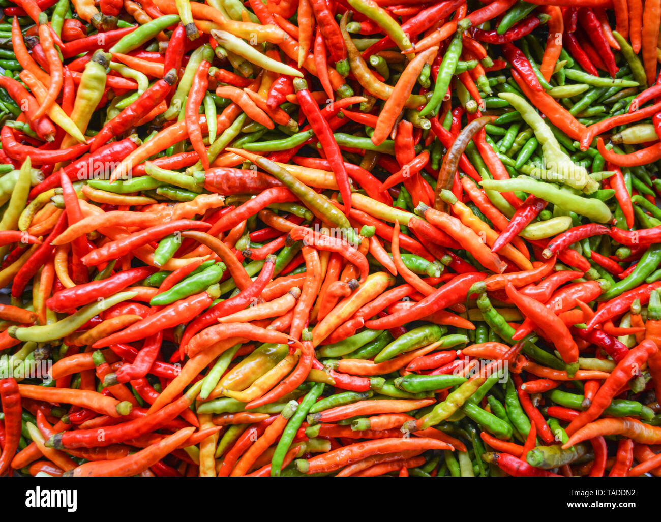 Chili background / Fresh red and green chilli pepper texture Stock ...