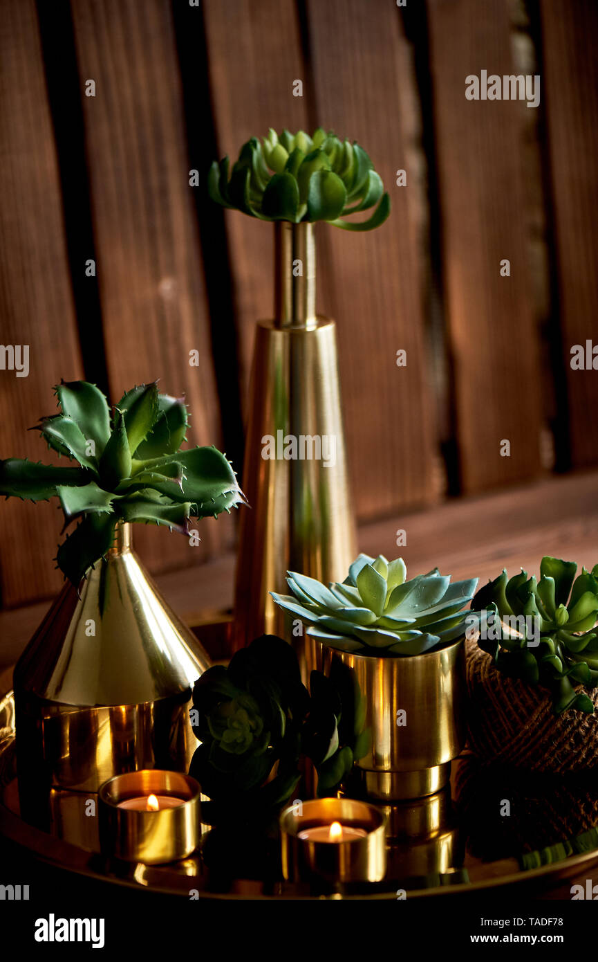 Cozy decor.Gold , burning candles, Golden vessels, succulents Stock