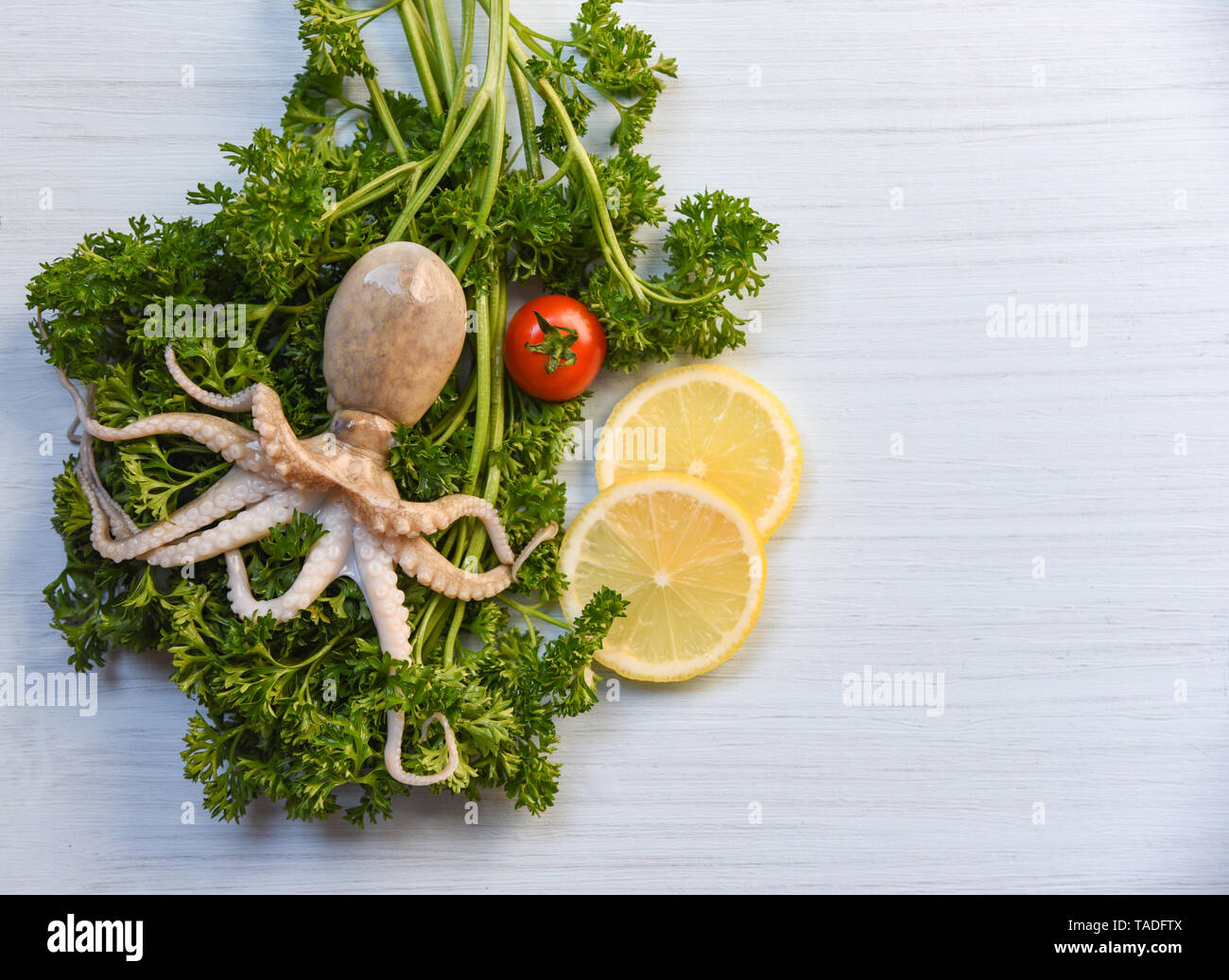 Fresh Seafood Squid On Green Parsley Herbs Spices Tomato And