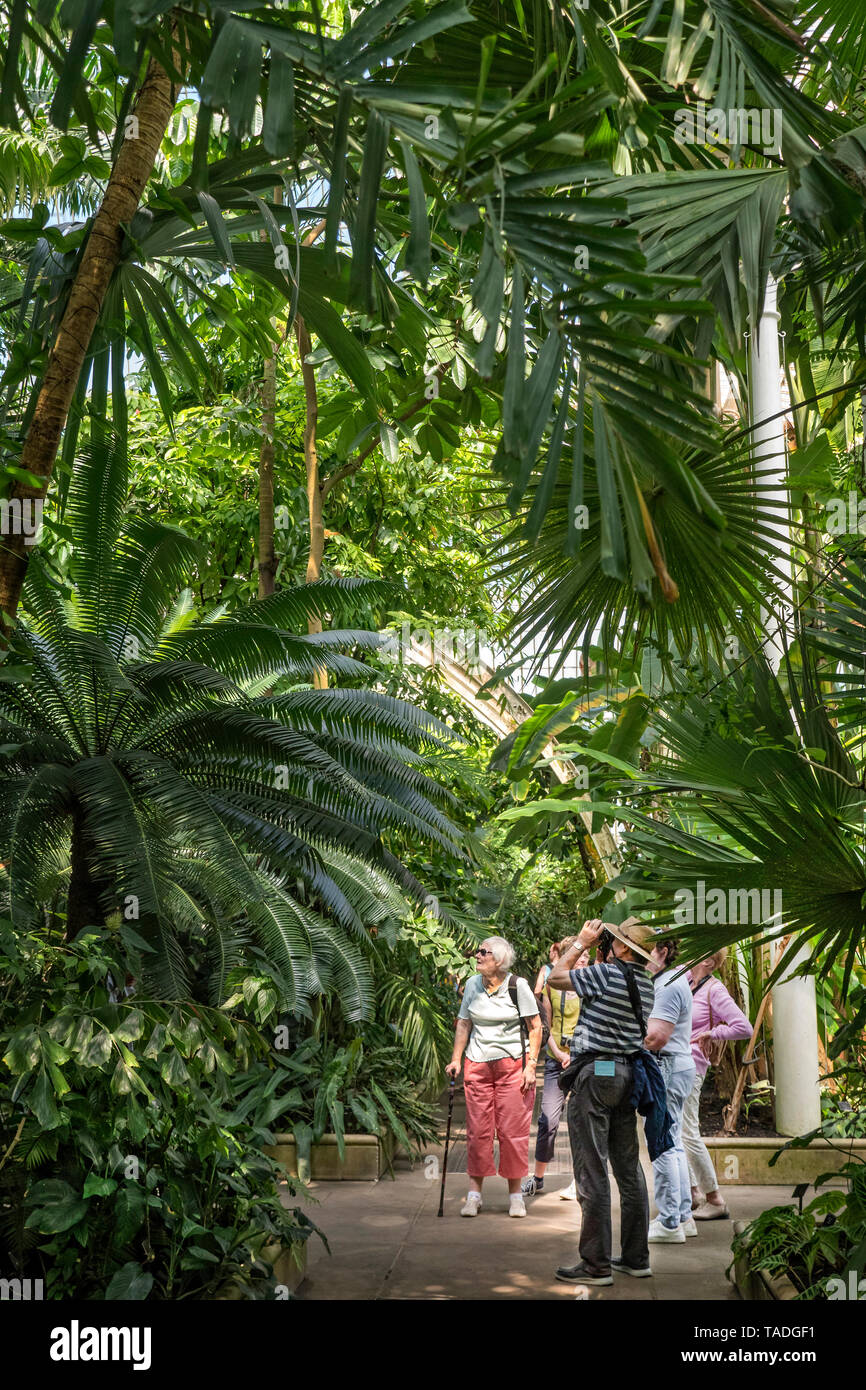Group of Seniors visiting Kew Gardens Palm House. Stock Photo