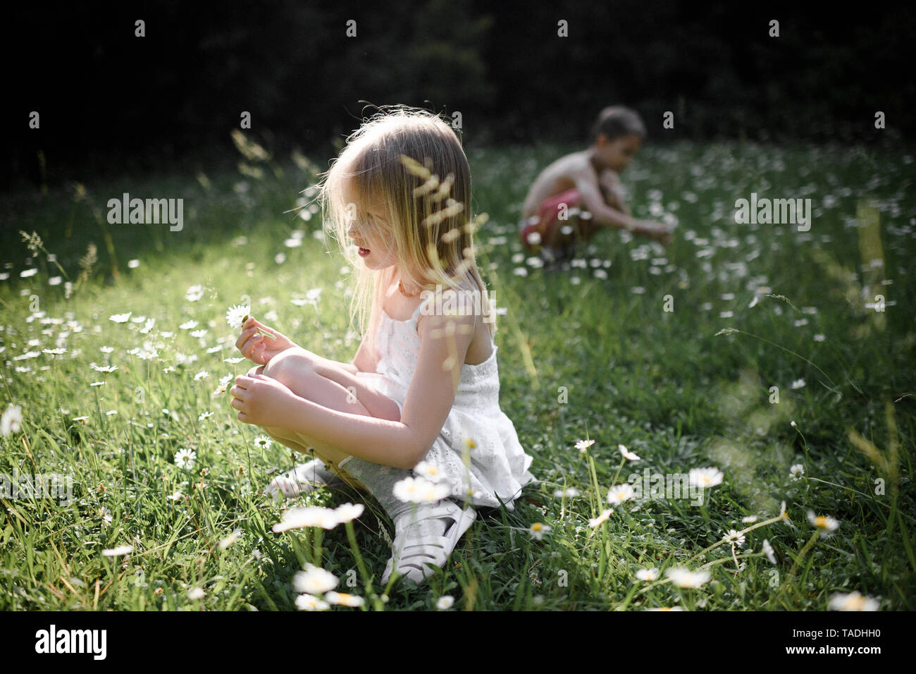 Two children picking flowers in field Stock Photo