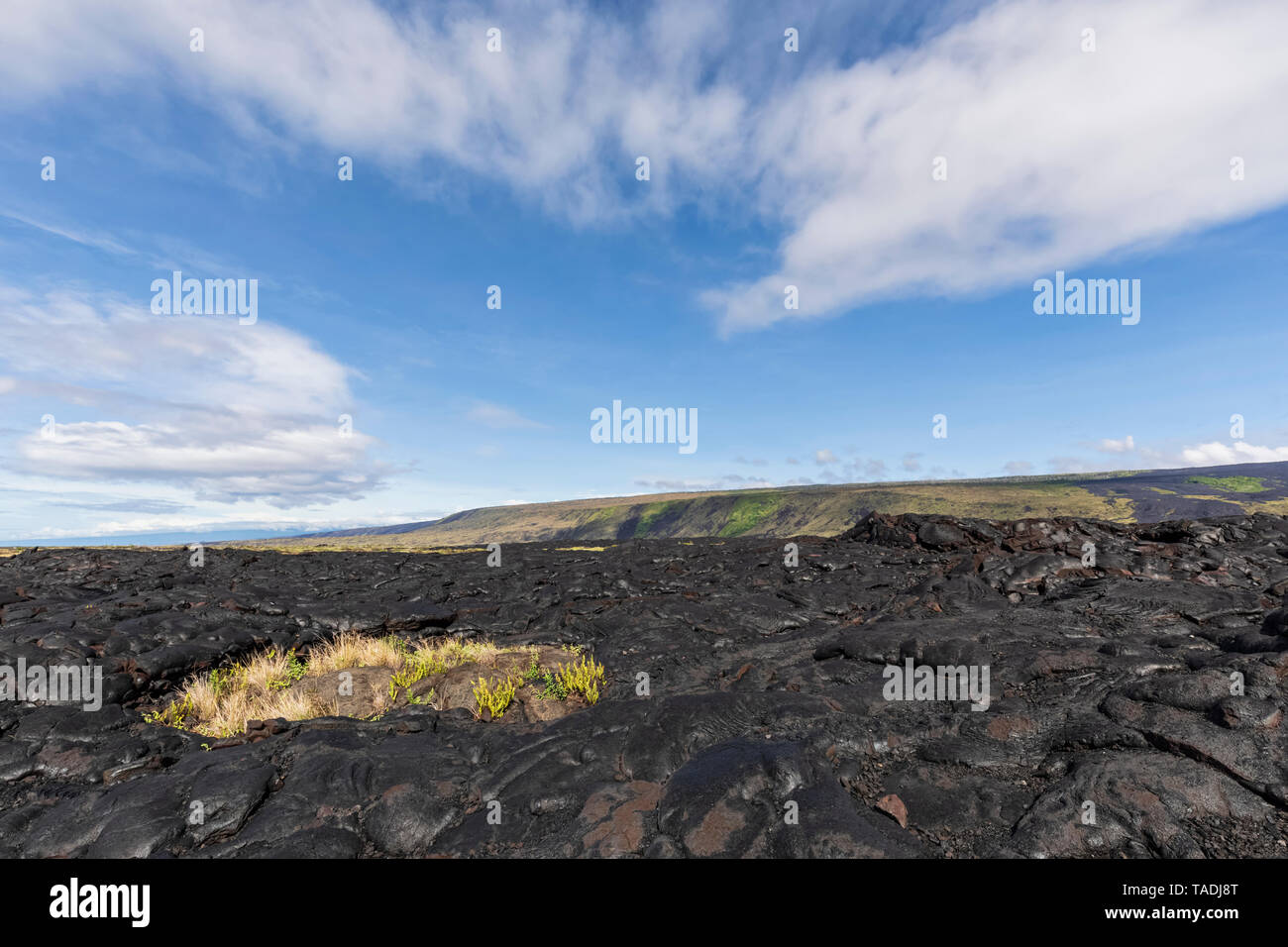 USA, Hawaii, Big Island, Volcanoes National Park, Ka Lae Apuki, lava fields Stock Photo