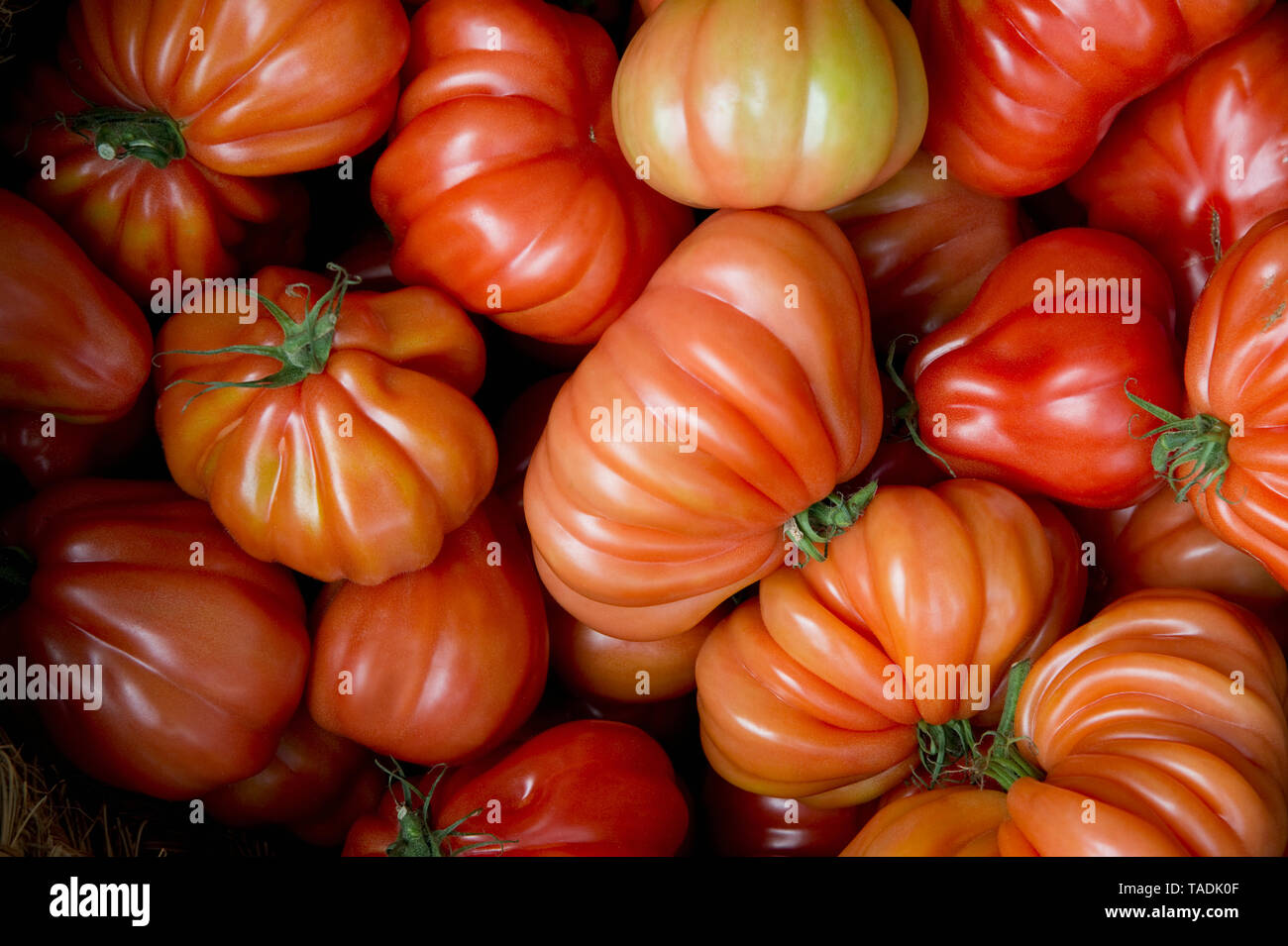 Oxheart tomatoes on market Stock Photo
