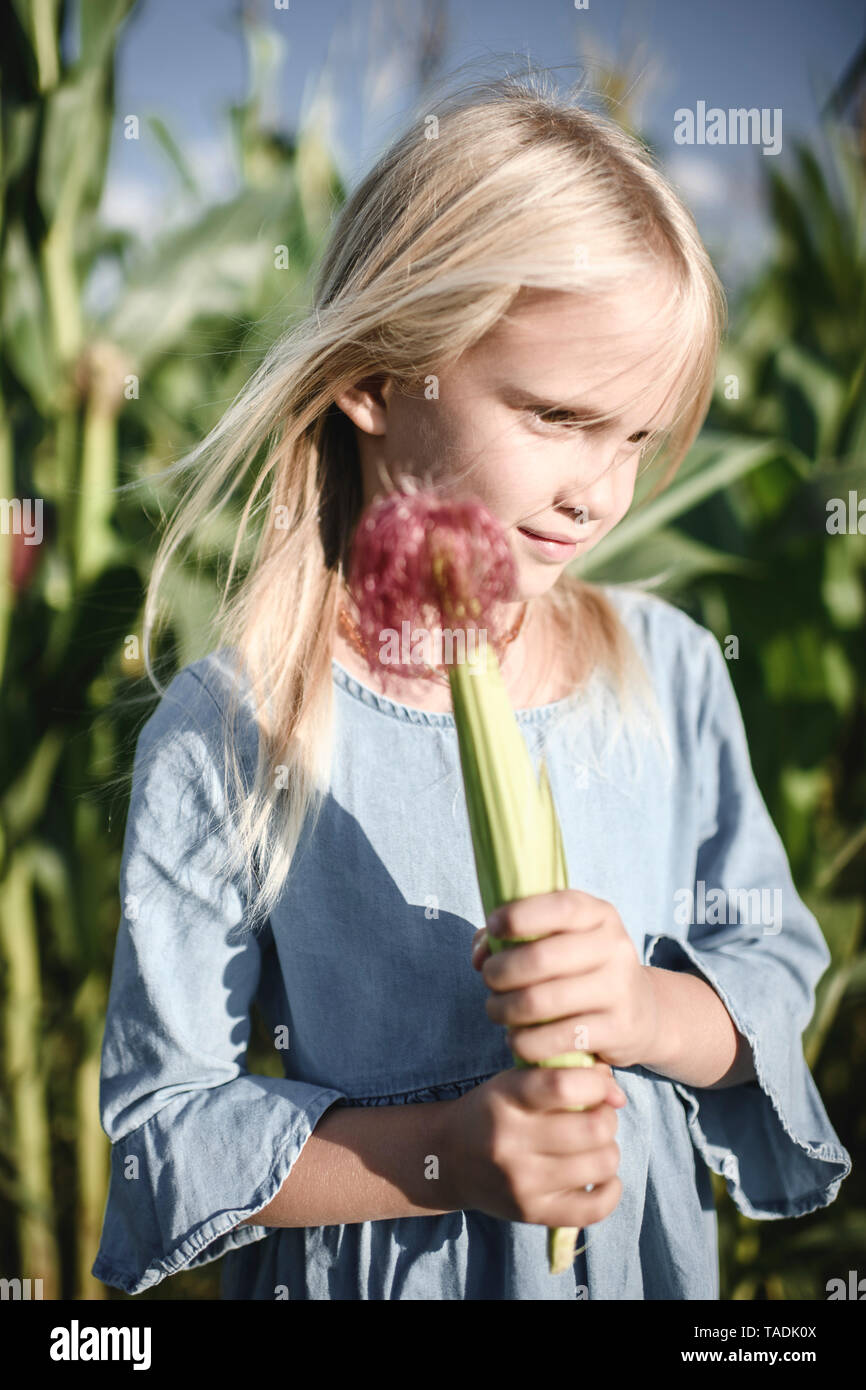 Blond girl holding corn cob in a cornfield Stock Photo