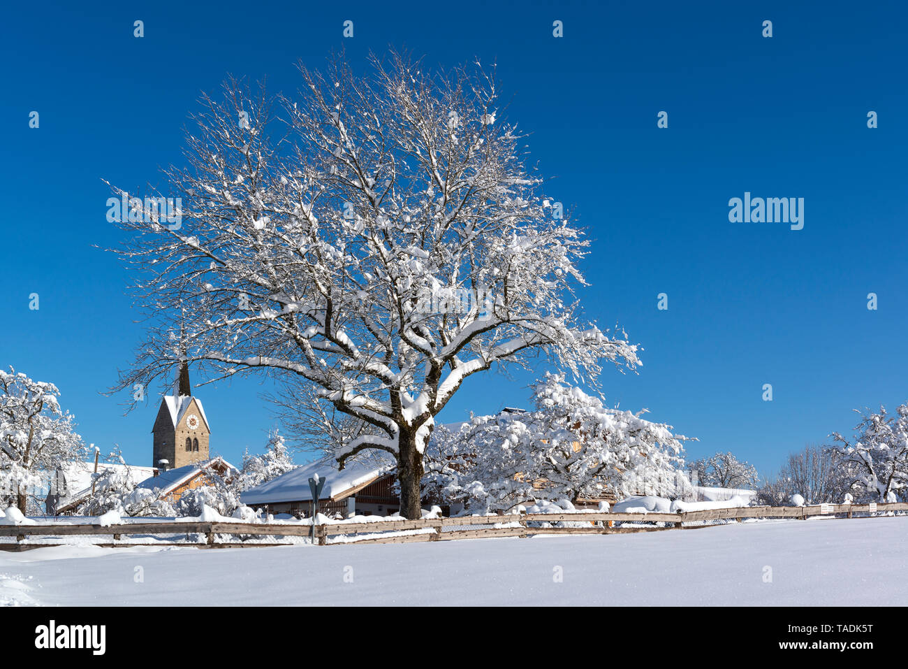 Germany, Upper Bavaria, Peretshofen, winter landscape Stock Photo