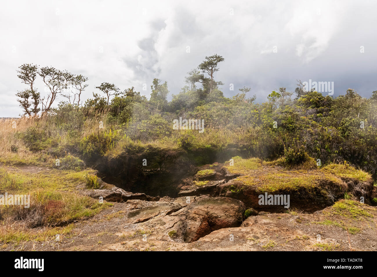 USA, Hawaii, Big Island, Volcanoes National Park, Kilauea volcanic crater, Steam Vents Stock Photo