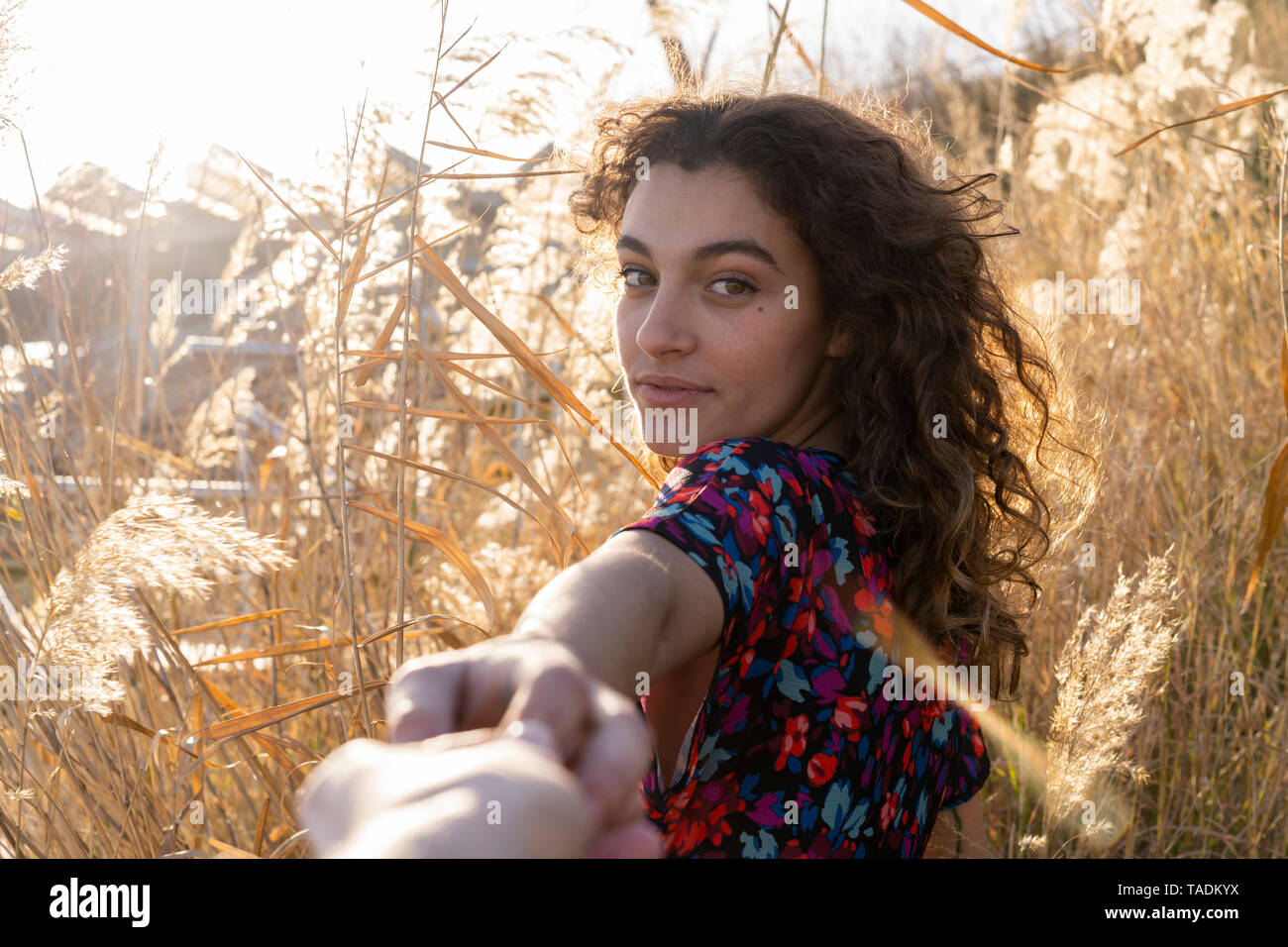 Young woman standing in meadow, holding hand of a young man Stock Photo