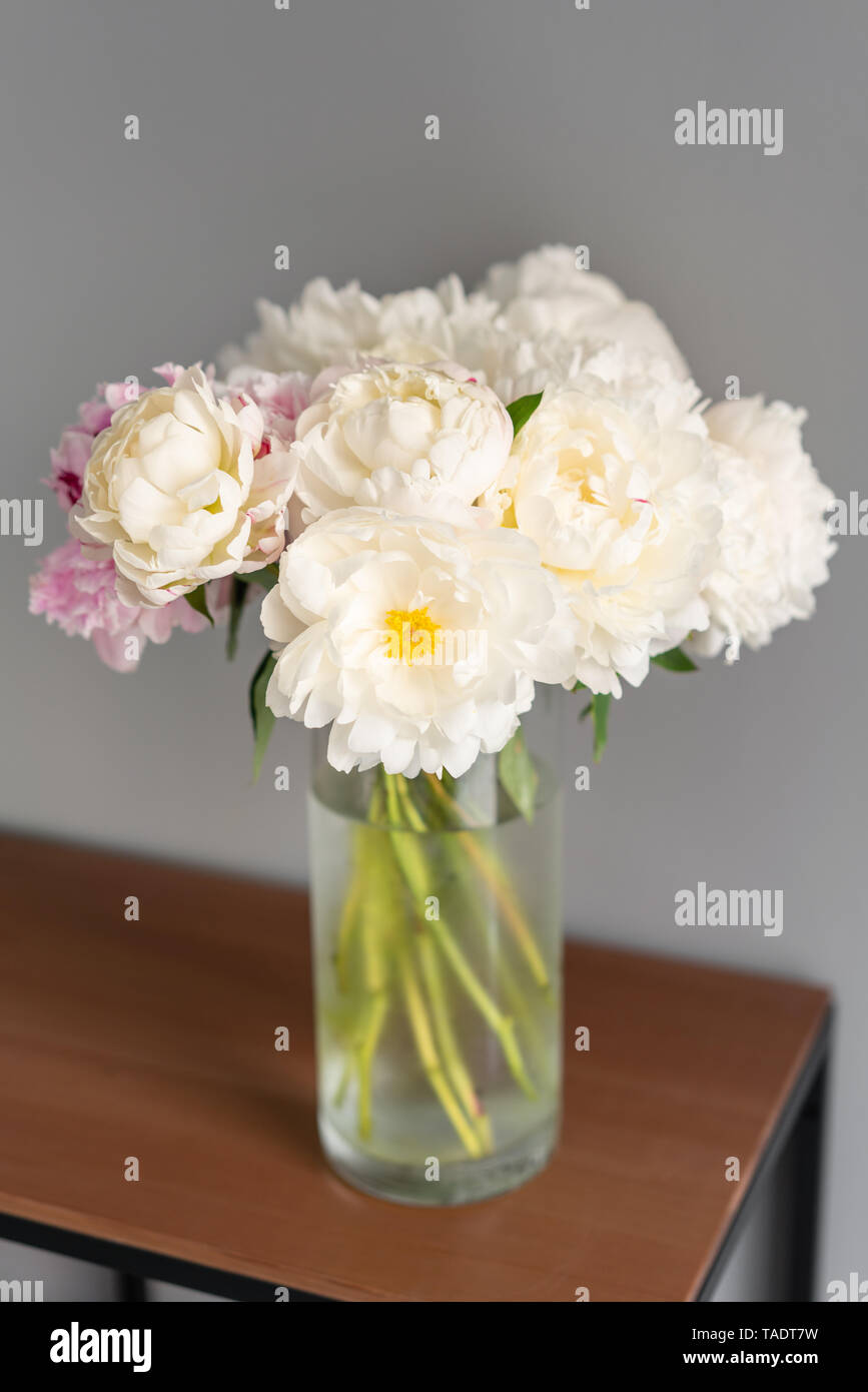 White Peonies In A Metal Vase Beautiful Peony Flower For Catalog