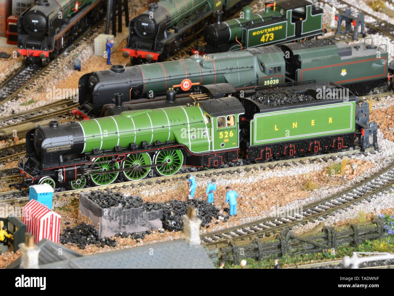 locomotive 