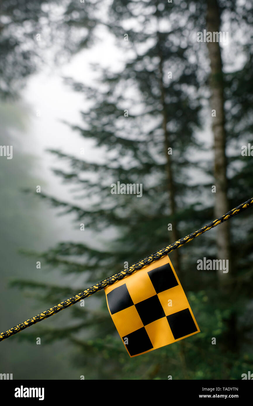 Russia, Sochi, yellow sigh in cloudy forest Stock Photo