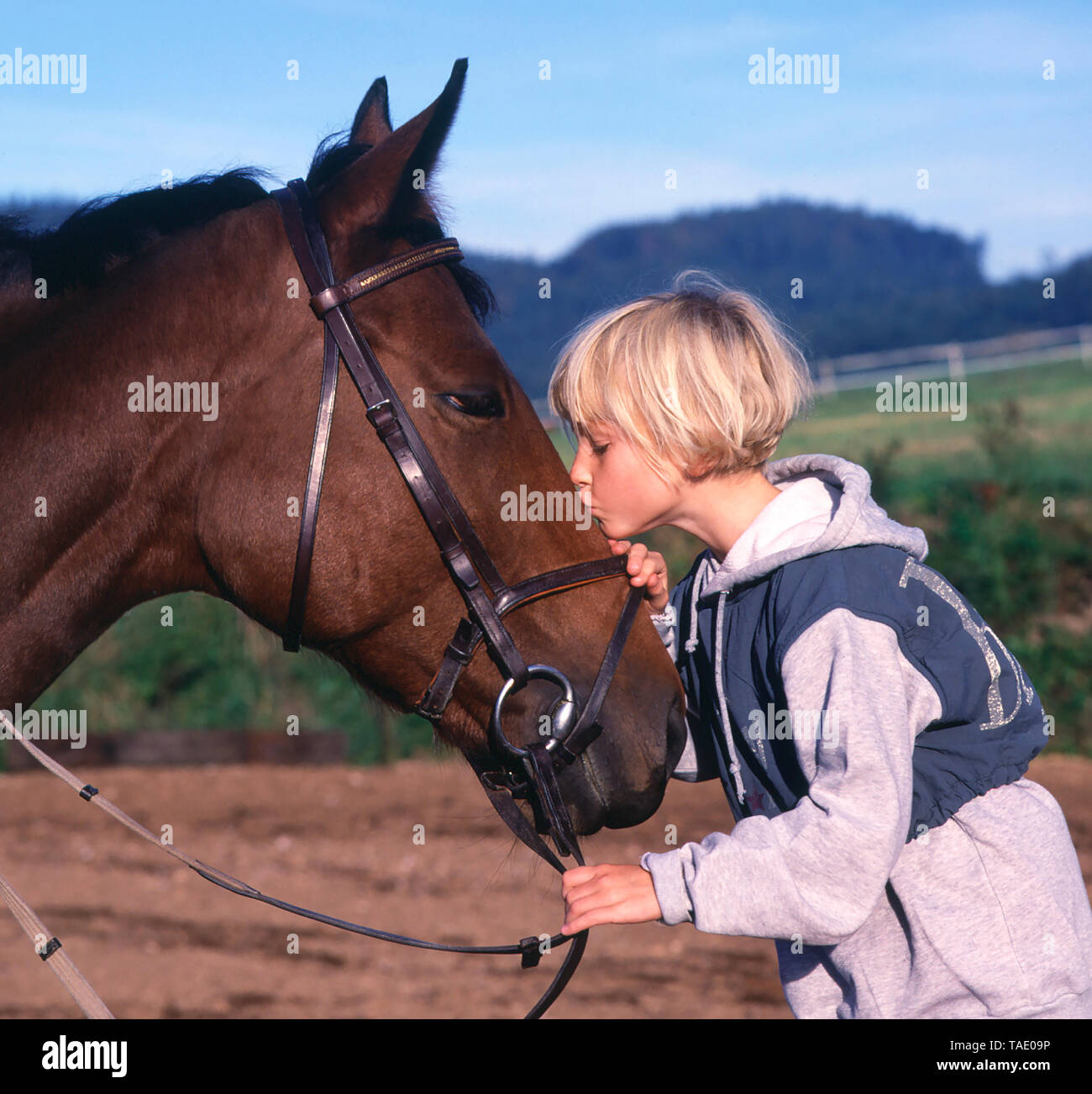 Girl kissing a horse affectionately Stock Photo