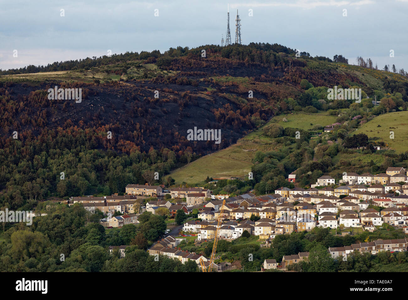 Pictured The area that was burned on Kilvey Hill over the Saint Thomas