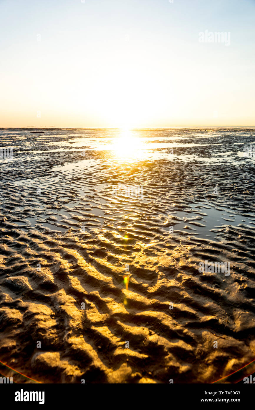Germany, North Sea, Cuxhaven, mudflat, beach Stock Photo
