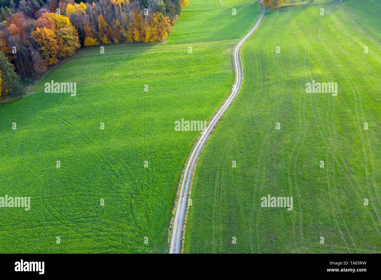 Germany, Bavaria, Icking, dirt track and meadows, aerial view Stock Photo